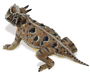 Horned Lizard clipart #11, Download drawings