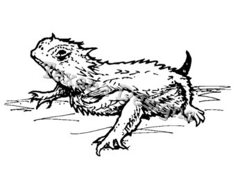 Horned Lizard coloring #15, Download drawings