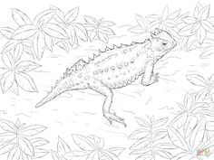Horned Lizard coloring #8, Download drawings