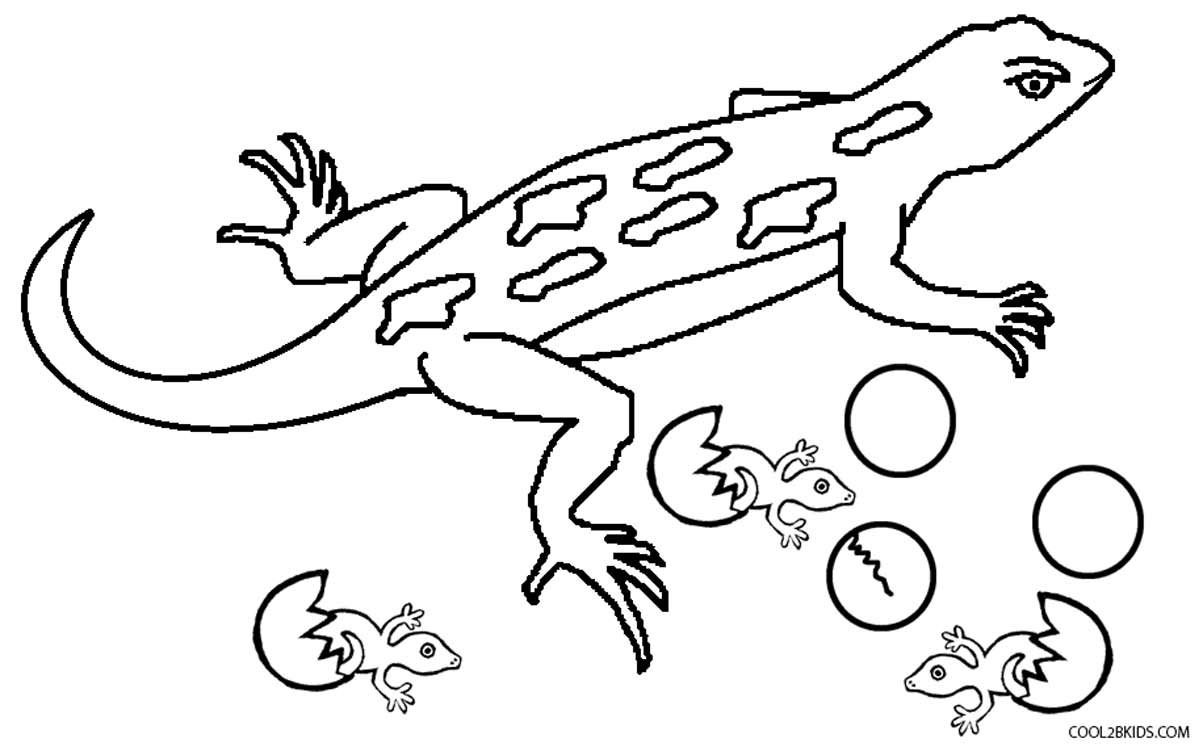 Horned Lizard coloring #5, Download drawings