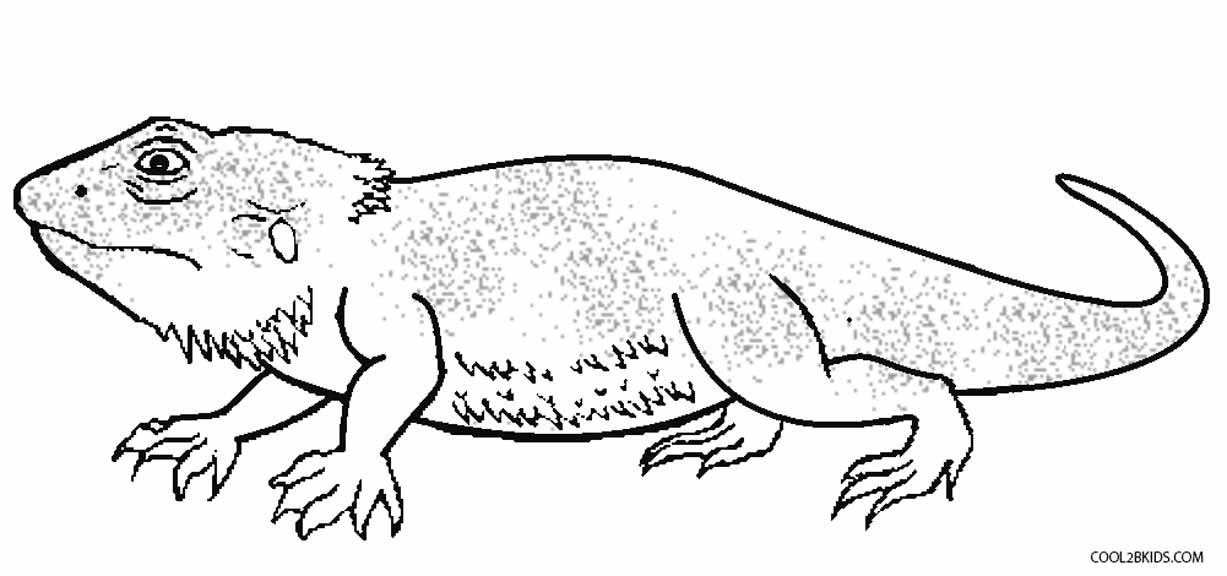 Horned Lizard coloring #16, Download drawings