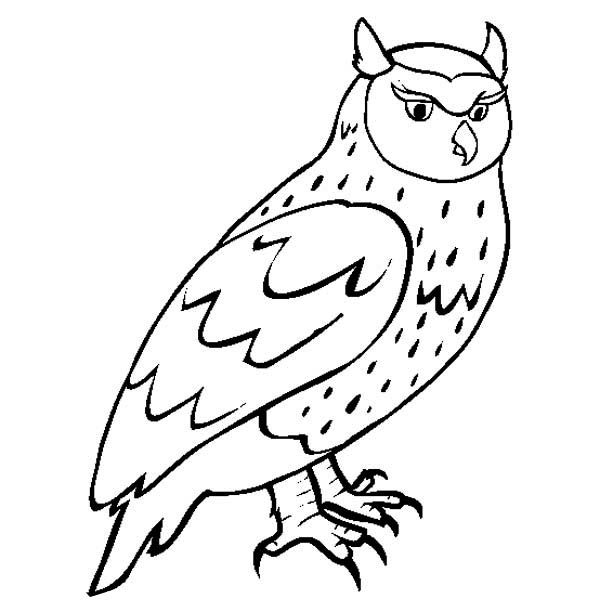 Horned Owl coloring #14, Download drawings