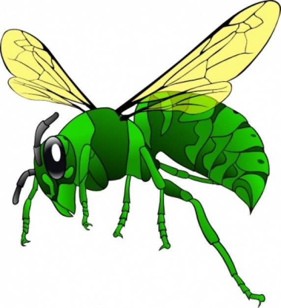 Hornet clipart #5, Download drawings