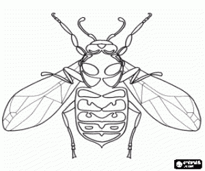 Hornet coloring #14, Download drawings