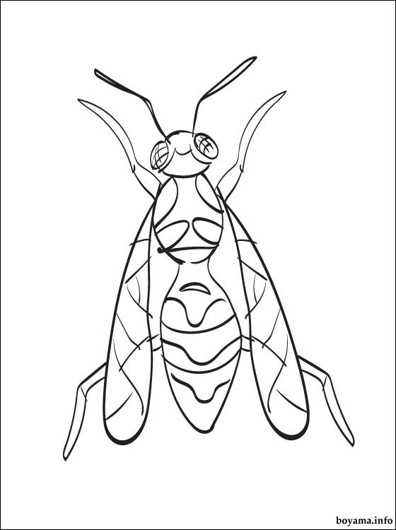 Hornet coloring #11, Download drawings
