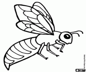 Hornet coloring #19, Download drawings