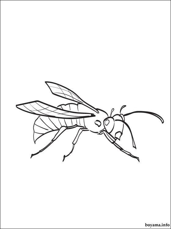 Hornet coloring #15, Download drawings