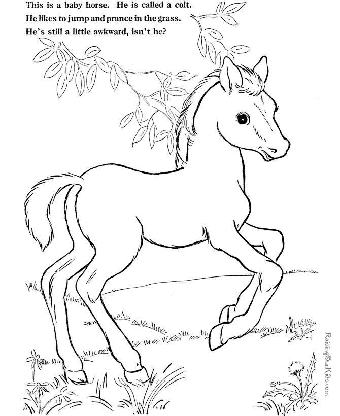 Horse coloring #15, Download drawings