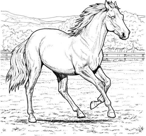 Horse coloring #4, Download drawings