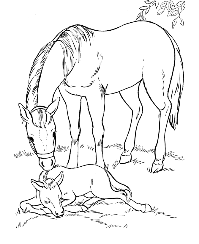 Horse coloring #12, Download drawings