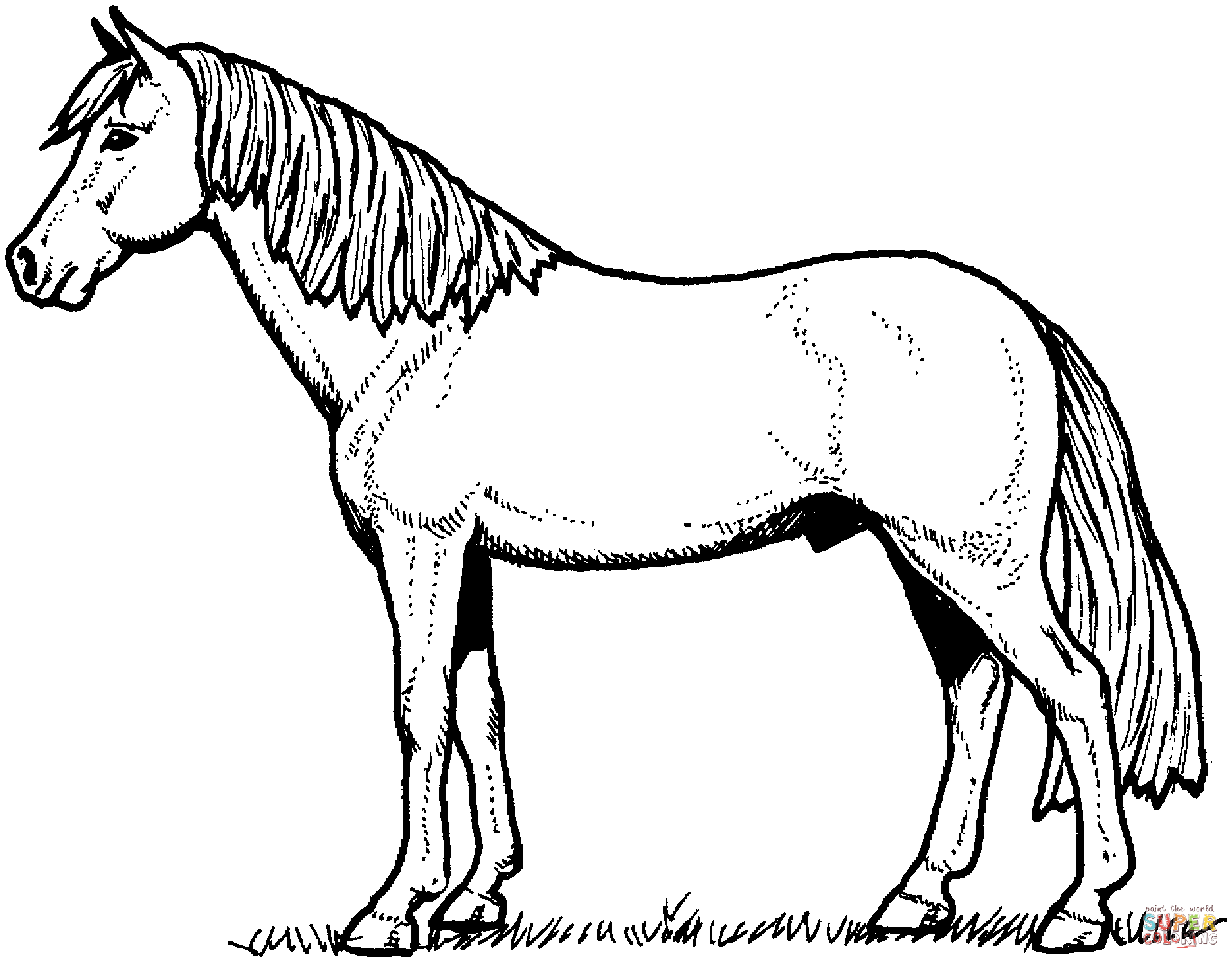 Horse coloring #9, Download drawings