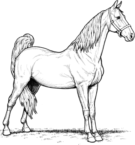 Horse coloring #8, Download drawings