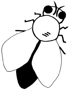 Horse-fly clipart #2, Download drawings