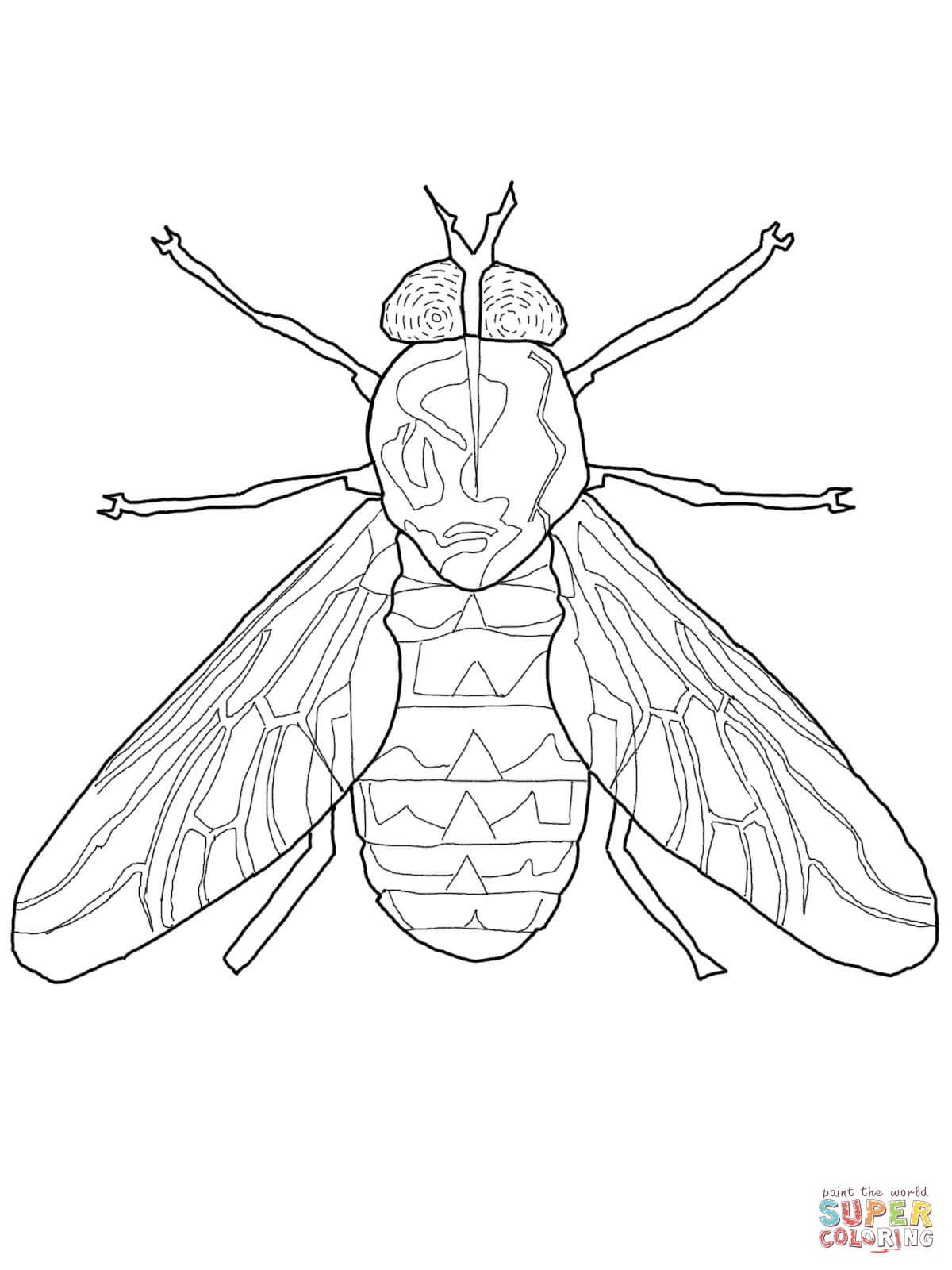 Horse-fly coloring #14, Download drawings