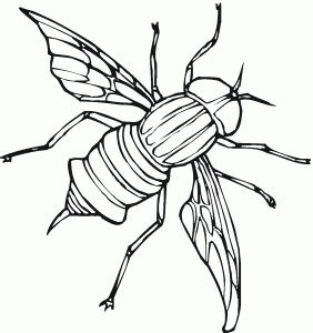 Horse-fly coloring #17, Download drawings