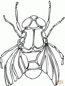 Horse-fly coloring #19, Download drawings