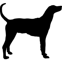 Hound clipart #11, Download drawings