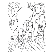 Howler Monkey coloring #18, Download drawings