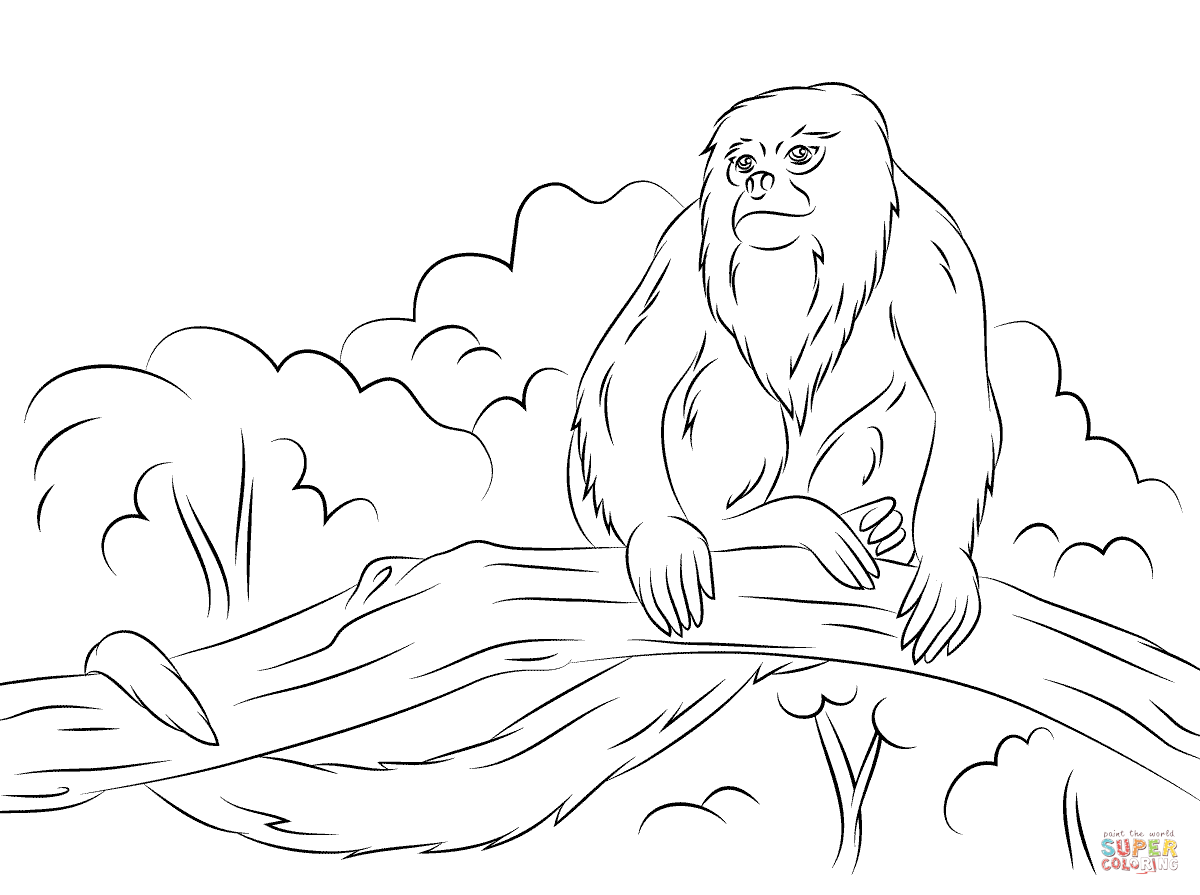 Howler Monkey coloring #7, Download drawings