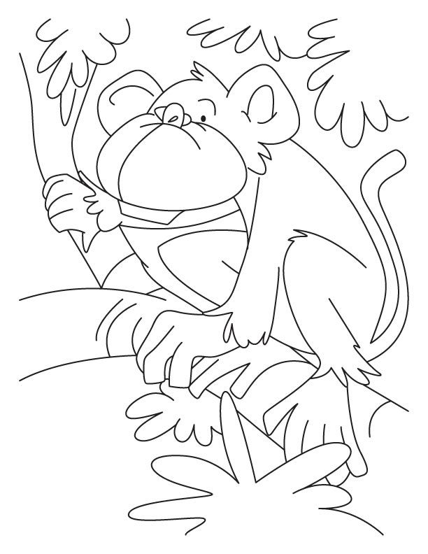 Howler Monkey coloring #12, Download drawings