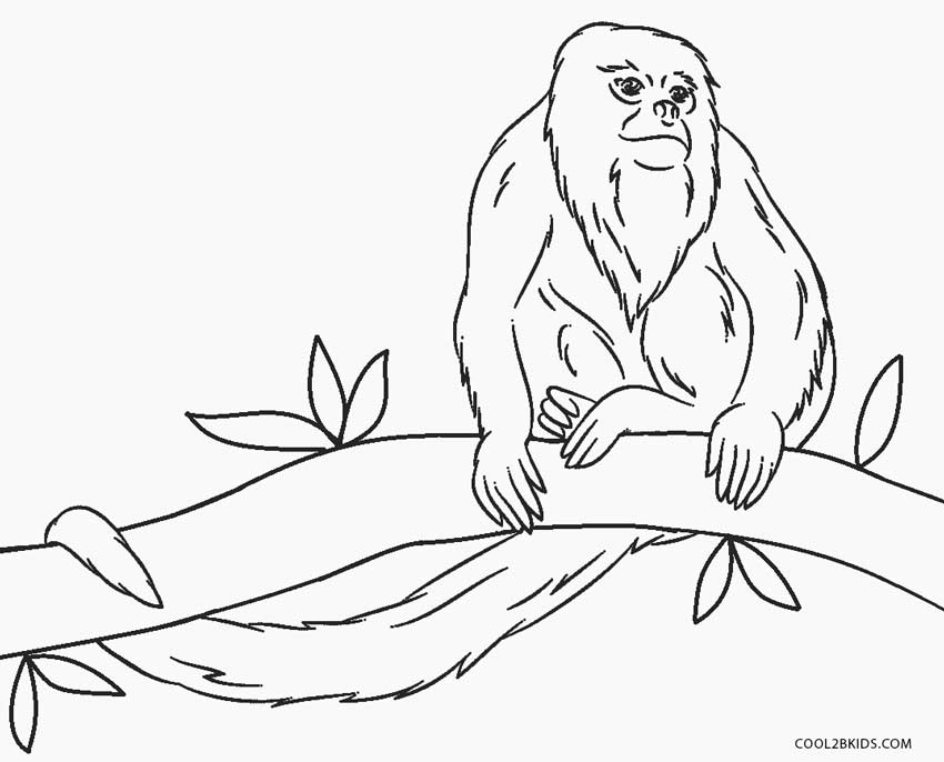 Howler Monkey coloring #8, Download drawings