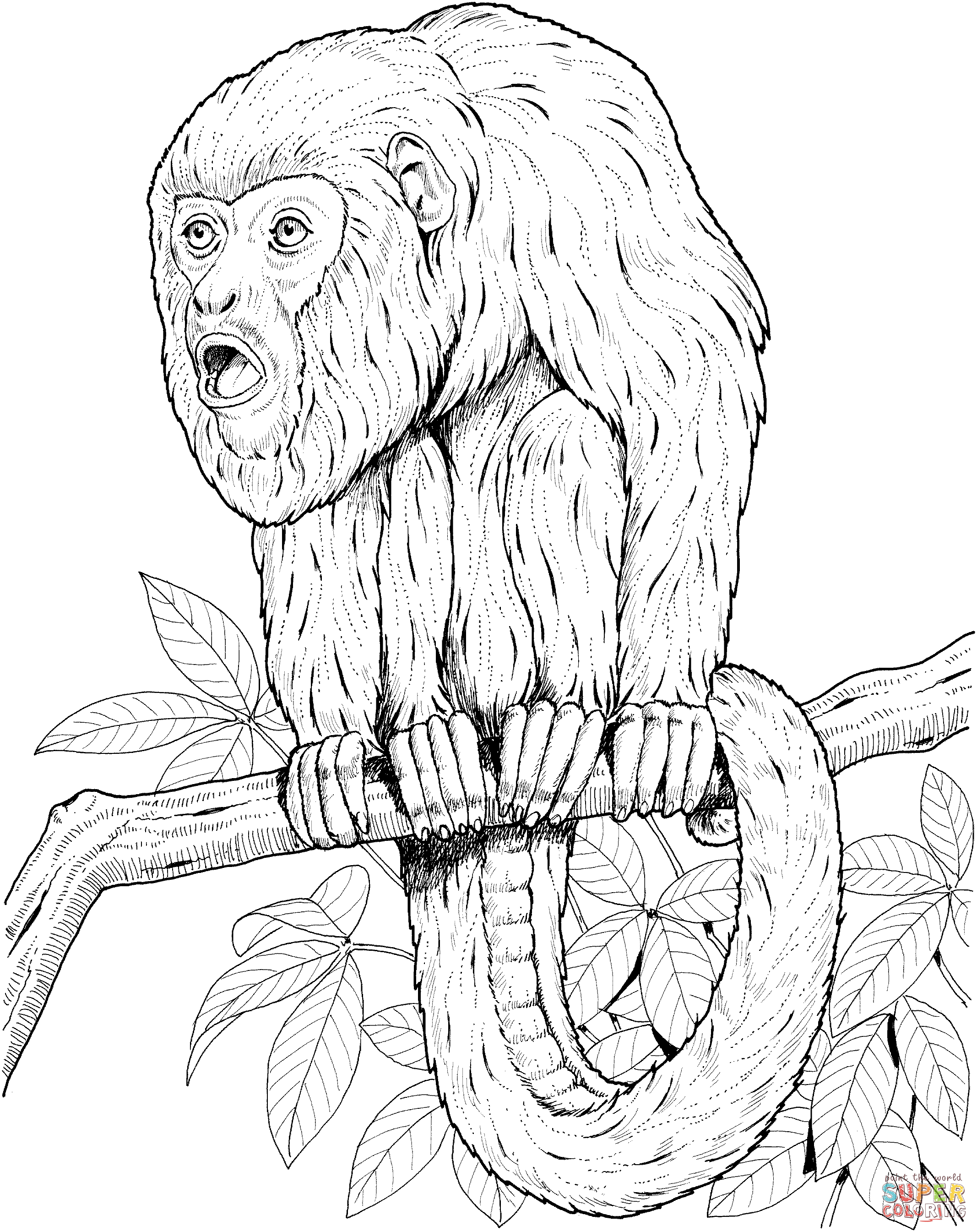 Howler Monkey coloring #6, Download drawings