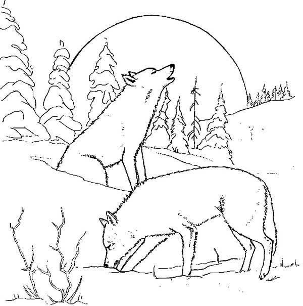 Wolfdog coloring #14, Download drawings