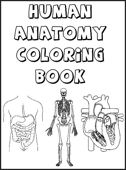 Human coloring #8, Download drawings
