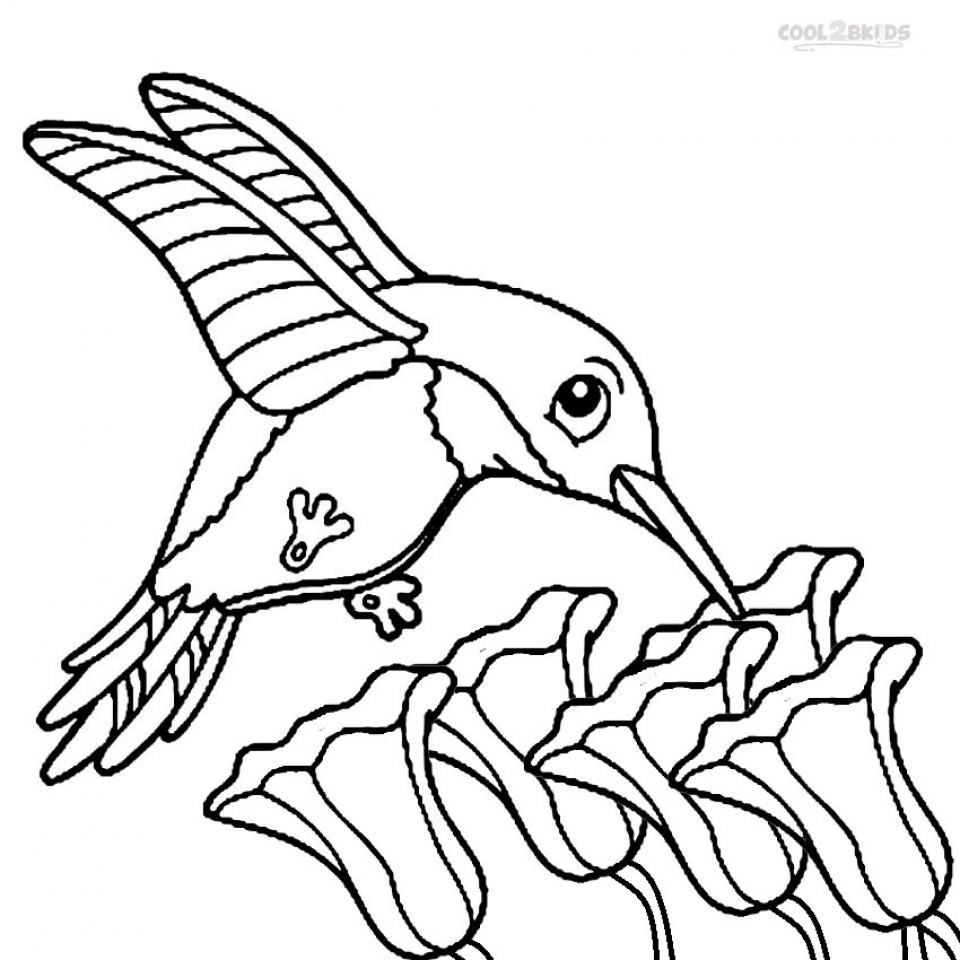 Hummingbird coloring #2, Download drawings