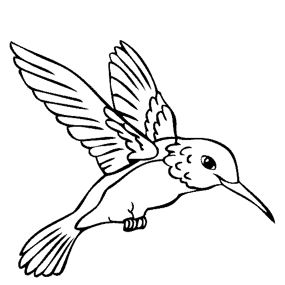 Hummingbird coloring #20, Download drawings