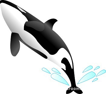 Humpback Whale clipart #13, Download drawings