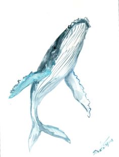 Humpback Whale clipart #7, Download drawings