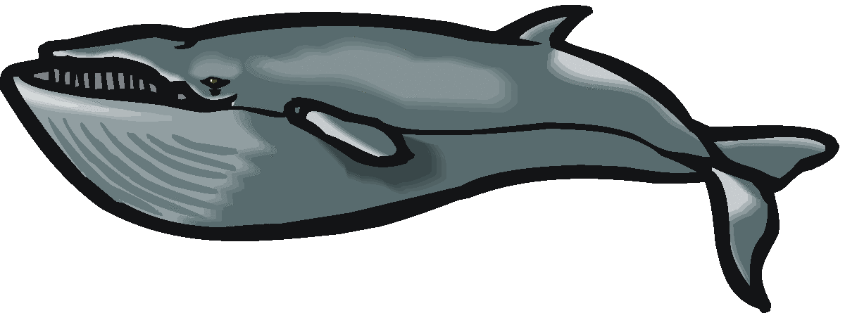 Humpback Whale clipart #18, Download drawings