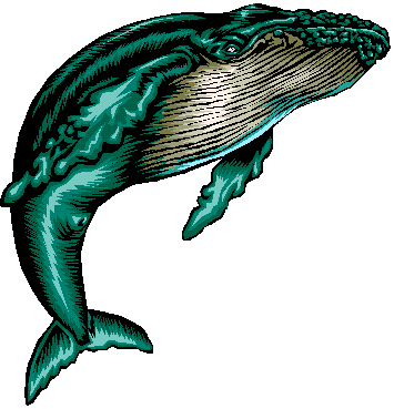 Humpback Whale clipart #10, Download drawings
