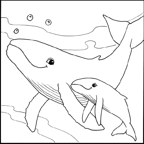 Humpback Whale coloring #2, Download drawings