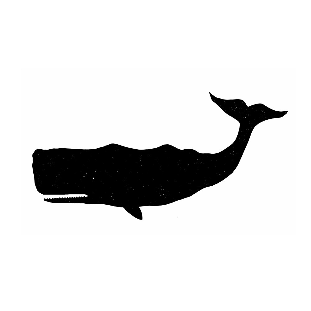 Sperm Whale svg #13, Download drawings