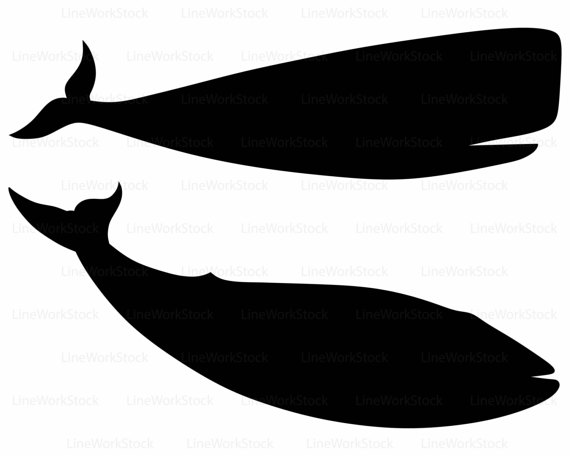 Humpback Whale svg #12, Download drawings