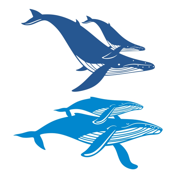 Humpback Whale svg #9, Download drawings