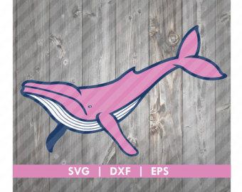 Humpback Whale svg #10, Download drawings