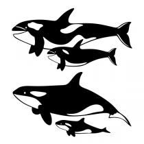 Humpback Whale svg #7, Download drawings