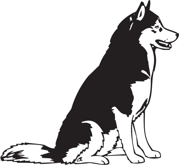 Husky clipart #18, Download drawings