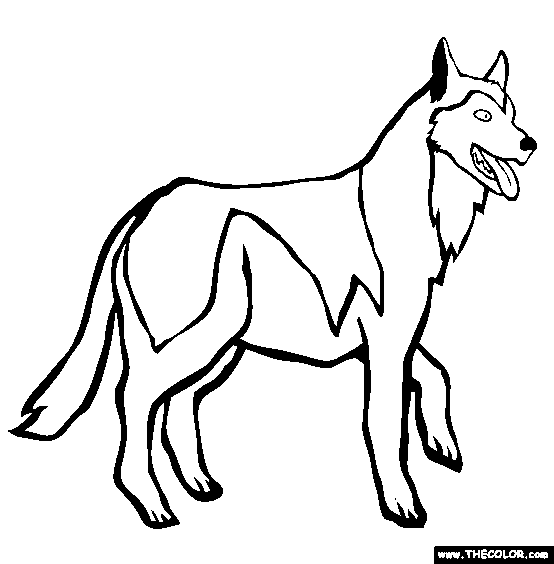 Siberian Husky coloring #1, Download drawings
