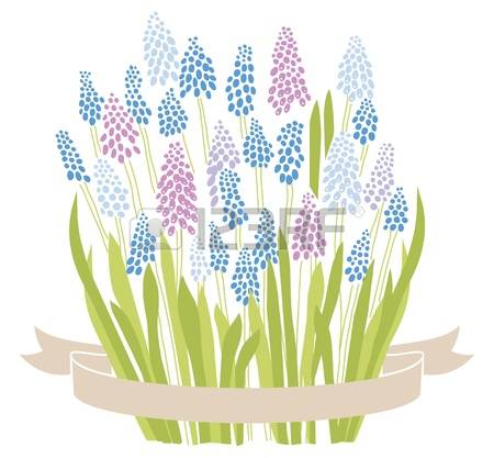 Hyacinth clipart #10, Download drawings