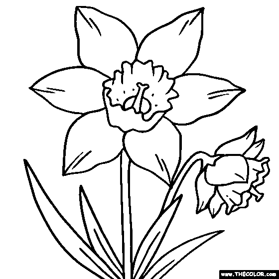 Hyacinth coloring #15, Download drawings
