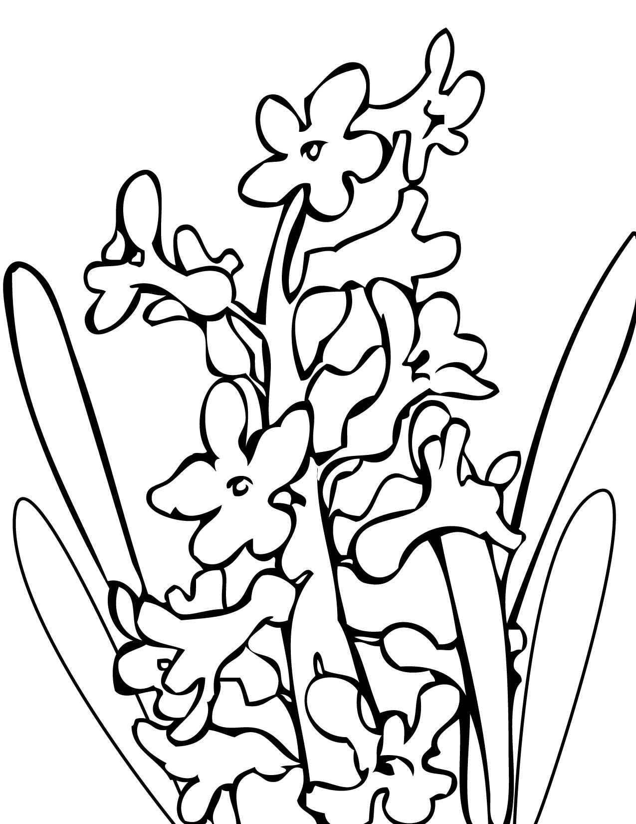 Hyacinth coloring #3, Download drawings