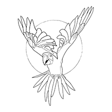 Hyacinth Macaw coloring #1, Download drawings