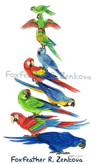 Red-and-green Macaw svg #14, Download drawings