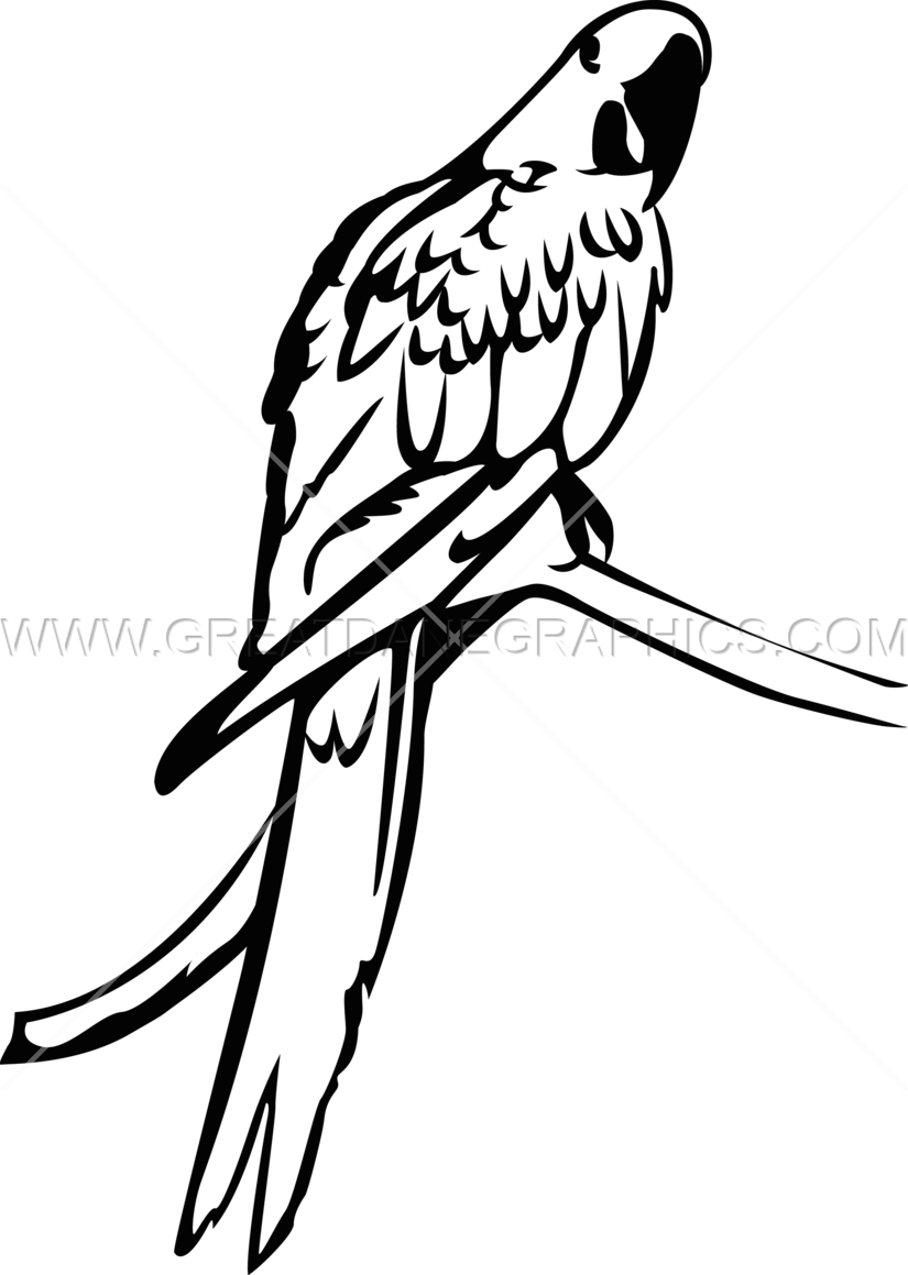 Hyacinth Macaw svg #16, Download drawings