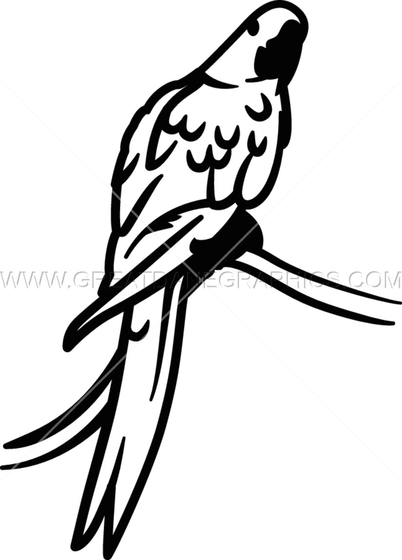 Hyacinth Macaw svg #15, Download drawings