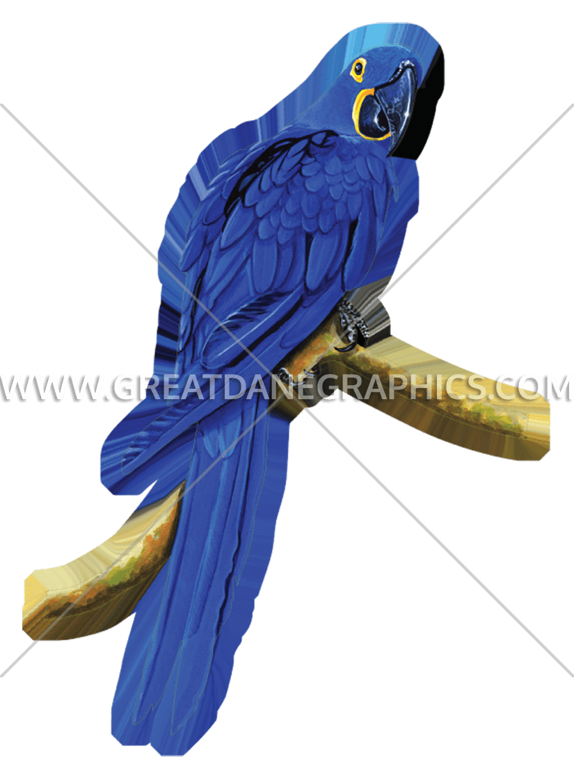 Hyacinth Macaw svg #14, Download drawings